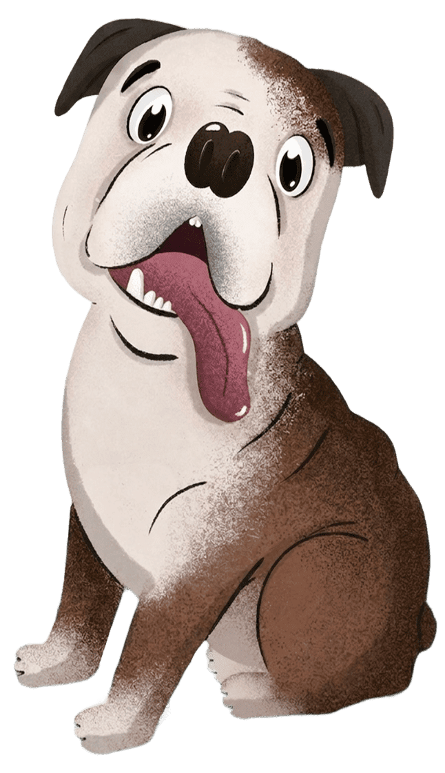 Buldog Bobo